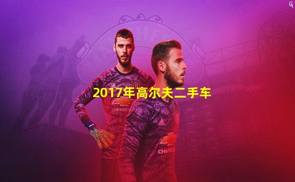 2017年高尔夫二手车