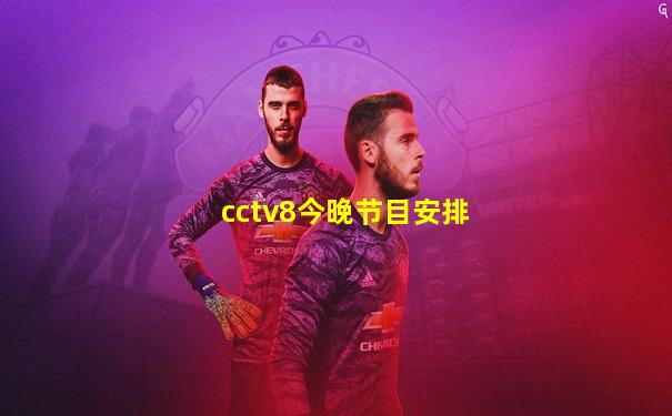 cctv8今晚节目安排