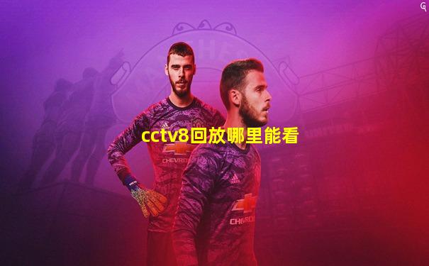 cctv8回放哪里能看