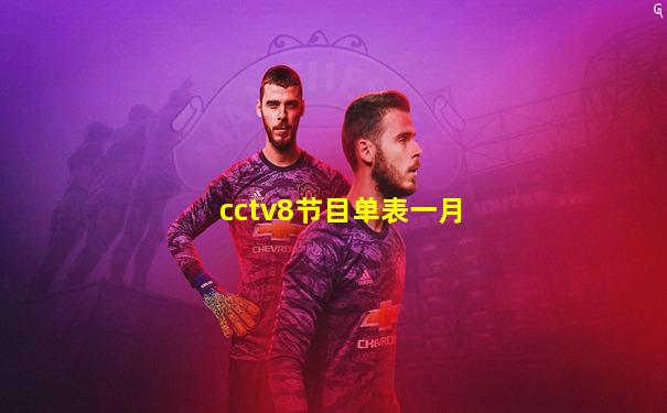 cctv8节目单表一月