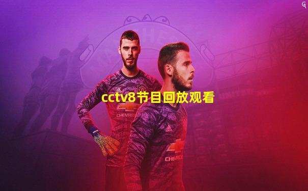 cctv8节目回放观看