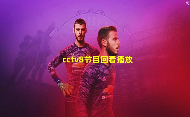 cctv8节目回看播放