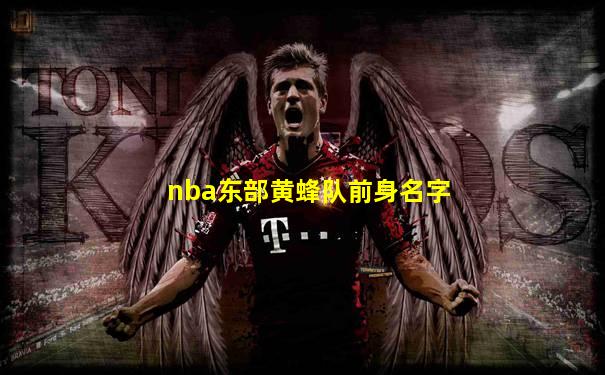 nba东部黄蜂队前身名字