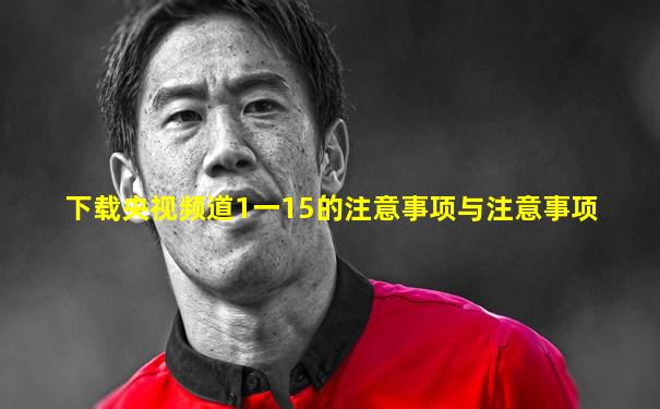 下载央视频道1一15的注意事项与注意事项