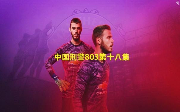 中国刑警803第十八集