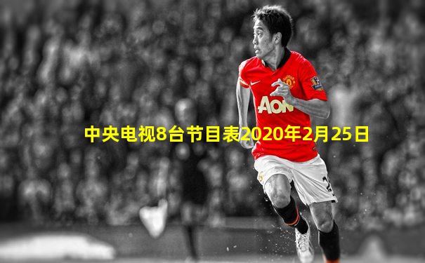 中央电视8台节目表2020年2月25日