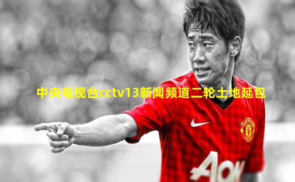 中央电视台cctv13新闻频道二轮土地延包