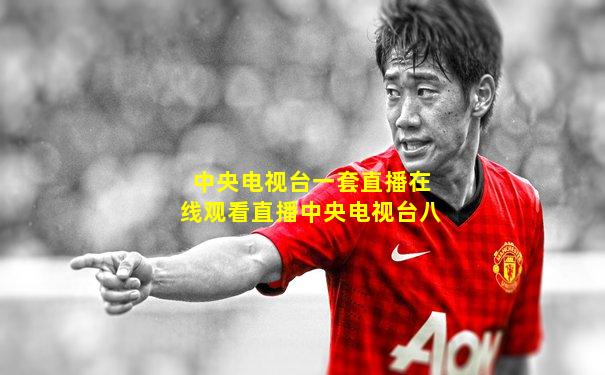 中央电视台一套直播在线观看直播中央电视台八
