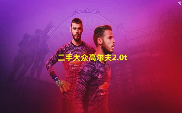 二手大众高尔夫2.0t