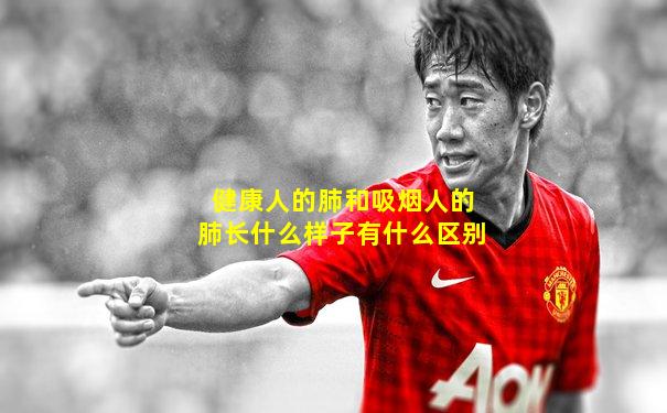 健康人的肺和吸烟人的肺长什么样子有什么区别