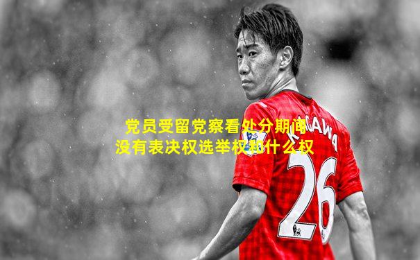 党员受留党察看处分期间没有表决权选举权和什么权