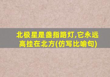 北极星是盏指路灯,它永远高挂在北方(仿写比喻句)