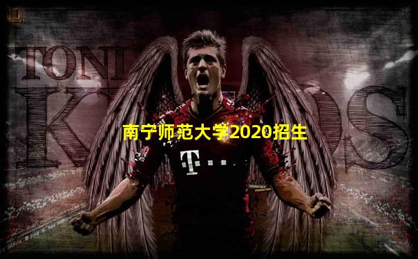南宁师范大学2020招生
