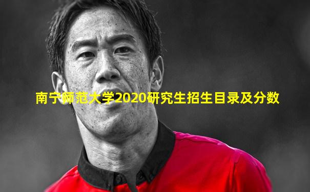 南宁师范大学2020研究生招生目录及分数