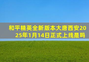 和平精英全新版本大唐西安2025年1月14日正式上线是吗