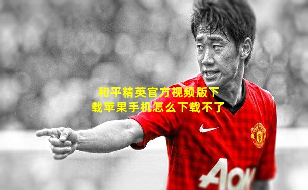 和平精英官方视频版下载苹果手机怎么下载不了