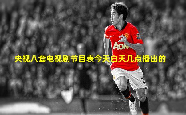 央视八套电视剧节目表今天白天几点播出的