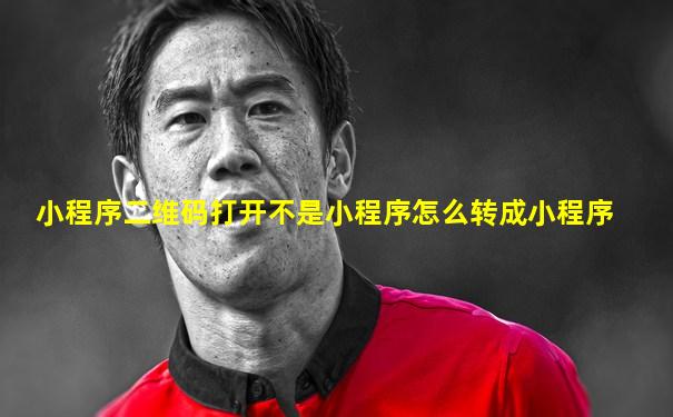 小程序二维码打开不是小程序怎么转成小程序