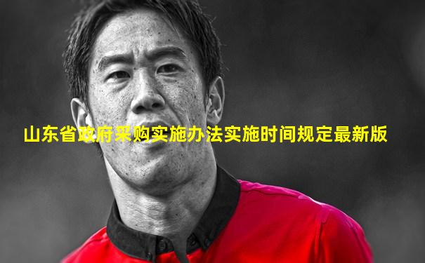 山东省政府采购实施办法实施时间规定最新版