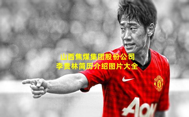 山西焦煤集团股份公司李贵林简历介绍图片大全