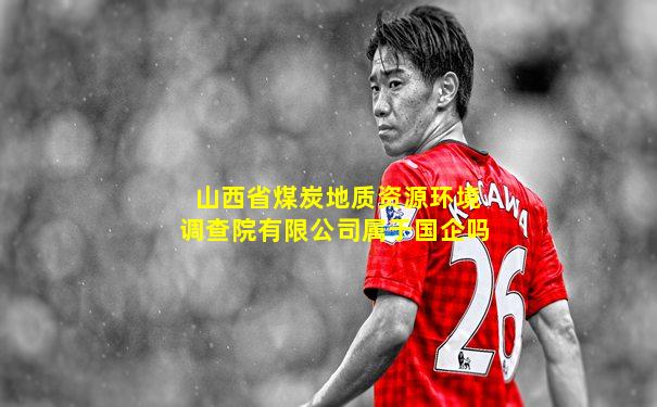 山西省煤炭地质资源环境调查院有限公司属于国企吗