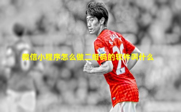 微信小程序怎么做二维码的软件叫什么