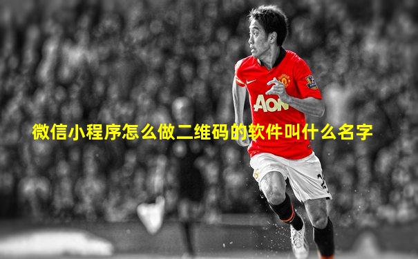 微信小程序怎么做二维码的软件叫什么名字