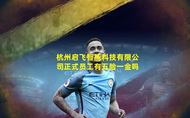 杭州启飞智能科技有限公司正式员工有五险一金吗