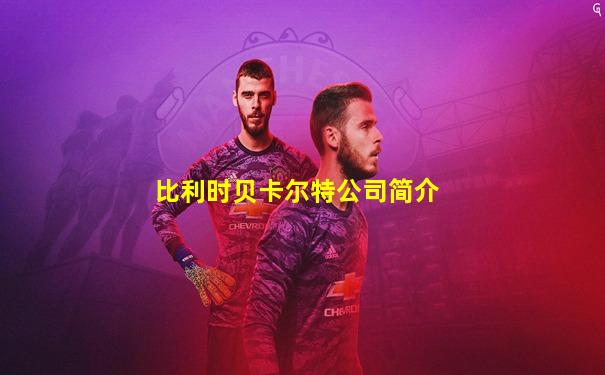 比利时贝卡尔特公司简介