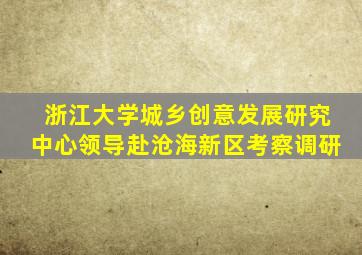 浙江大学城乡创意发展研究中心领导赴沧海新区考察调研