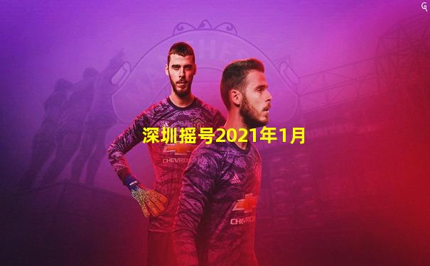 深圳摇号2021年1月