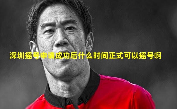 深圳摇号申请成功后什么时间正式可以摇号啊
