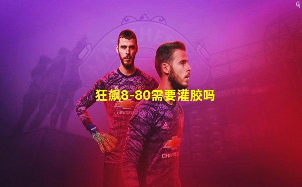 狂飙8-80需要灌胶吗