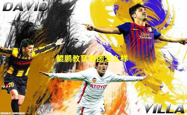鲲鹏教育集团怎么样